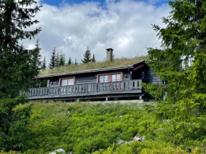 Centrally located cottage at Sjusjøen ski center, Moelv